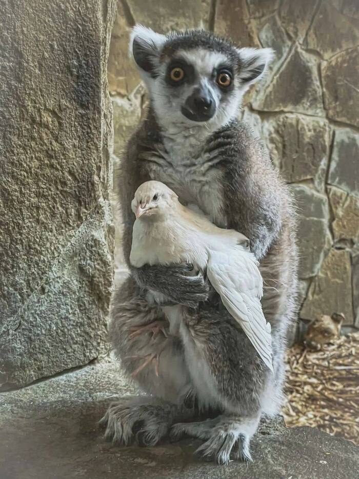 �����, � �� ��� ��������?