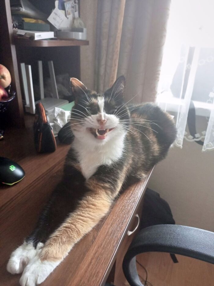 ����������