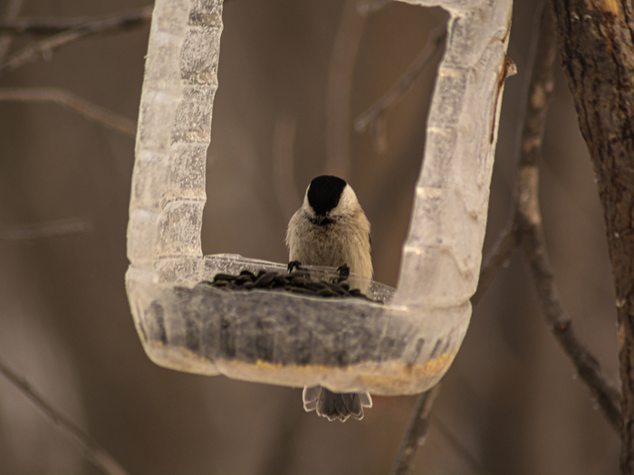 ��������� ��������🙂