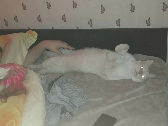 ����� �� ���� ���� ������ ���������� ����