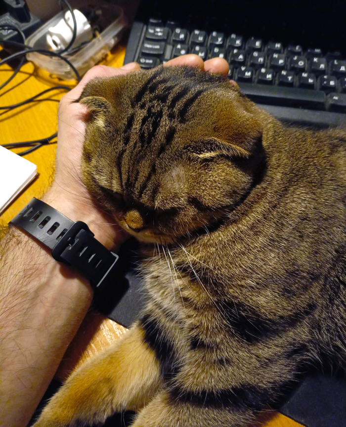 ������ ���� ������ �����