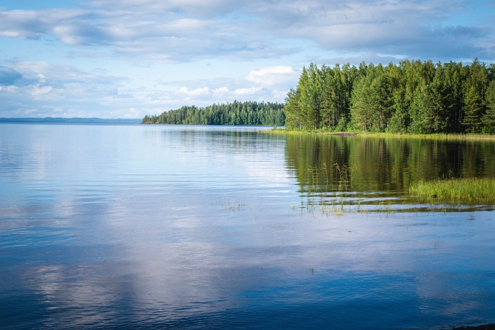 ������ ���� �������