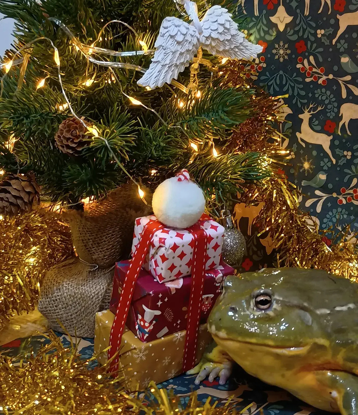 � ����������� (������������) ����������, ��� ������