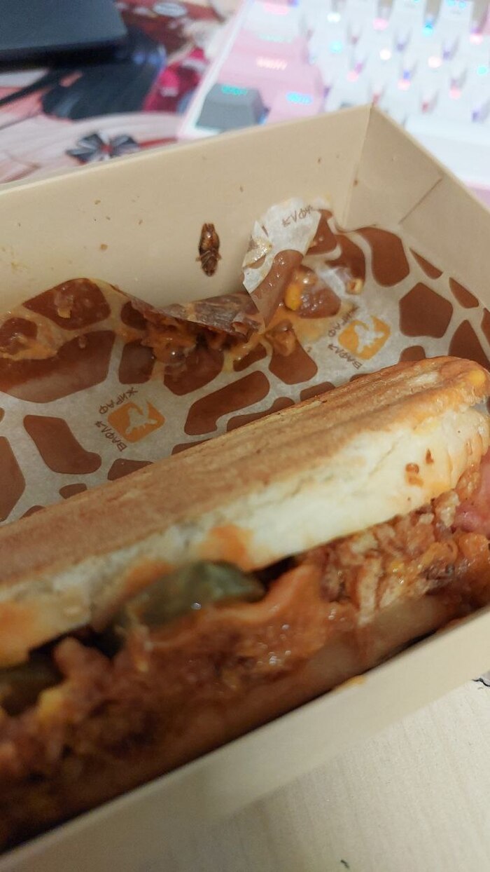 Жираф Вафля. Саратов