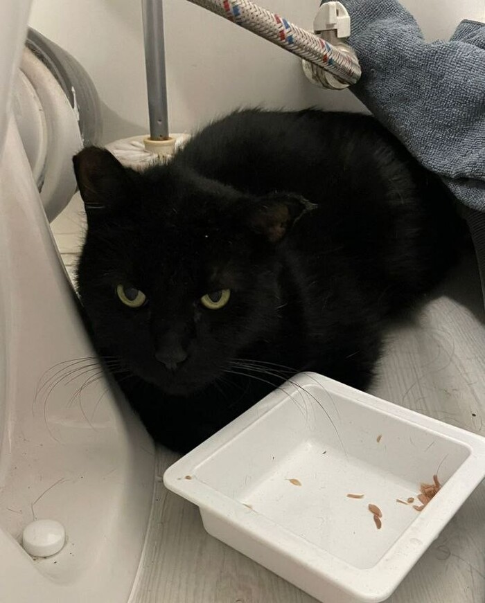 SOS: ������ ����� ���������� ��� ��� �� 2 ������ � ������ �����