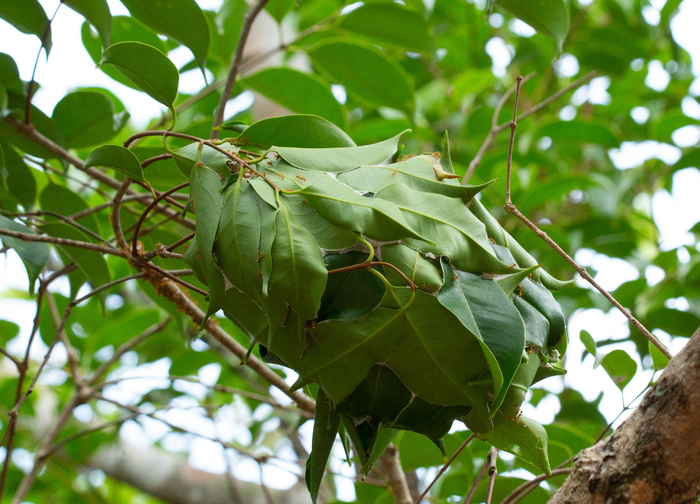 ��� ������� �� �� ����� � ��������, ���������� ��, ��� ����� ���� ������ ���������� �����������?