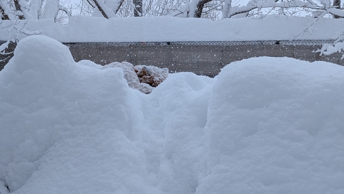 ����������