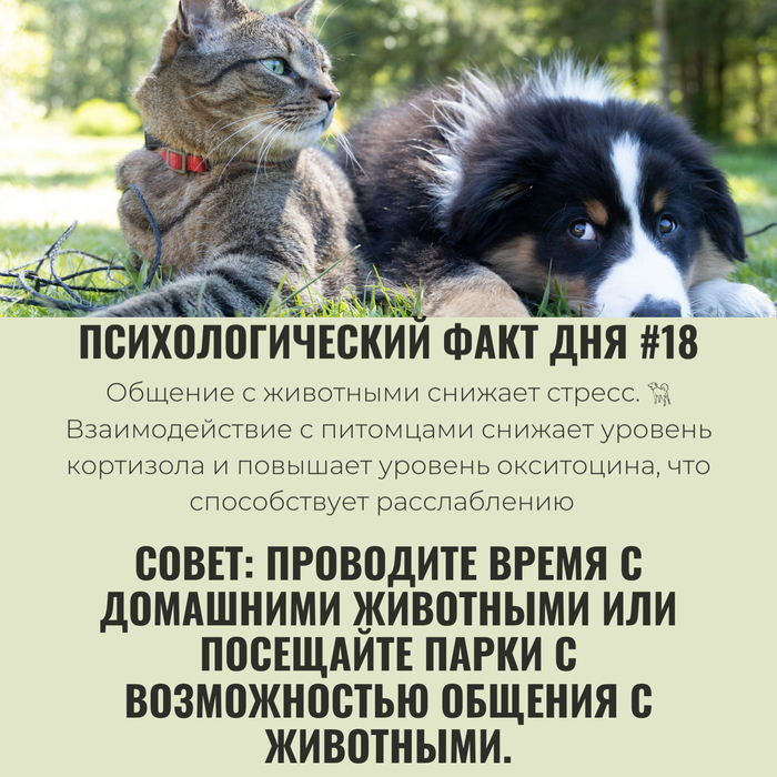 ��������������� ���� ��� #18