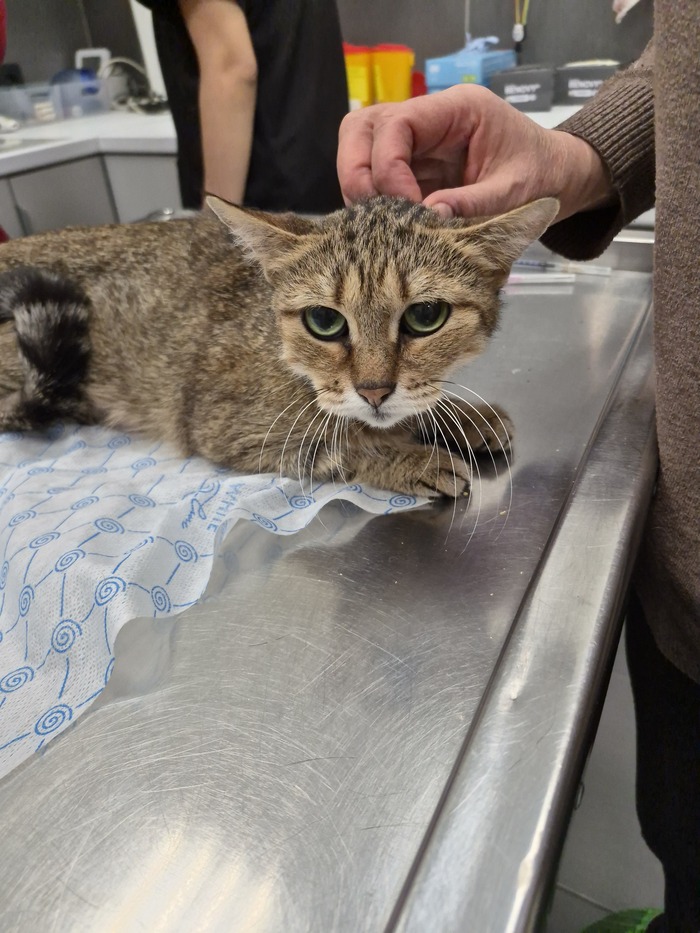 ����� ���������� ����. ����� ������ �������.