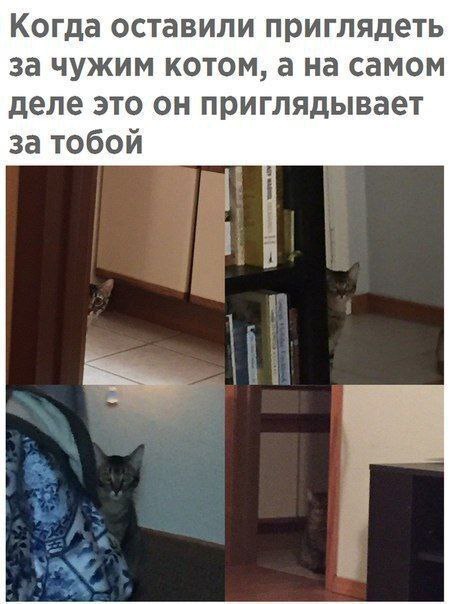 ���������� ���� � ������������