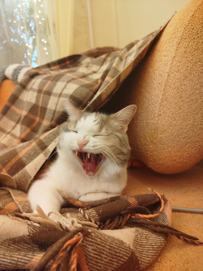 ������ ���������� ���� �����