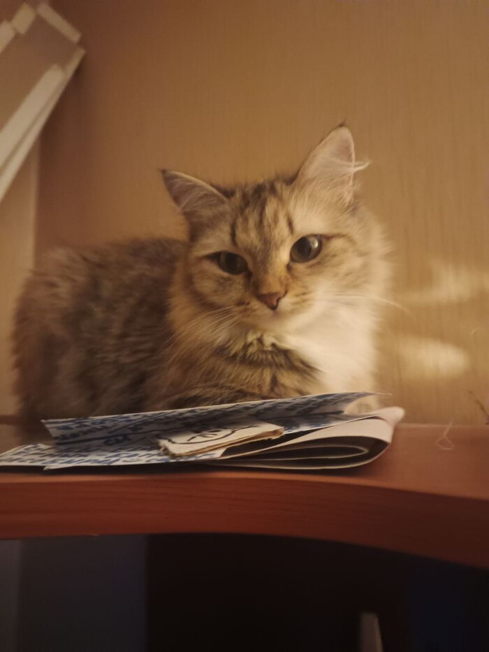 ���� ��� ������.