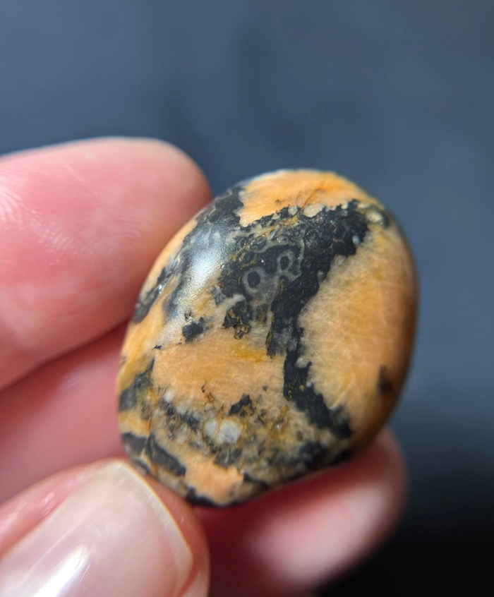 ������ �������� �� �����. ����� �� � OR