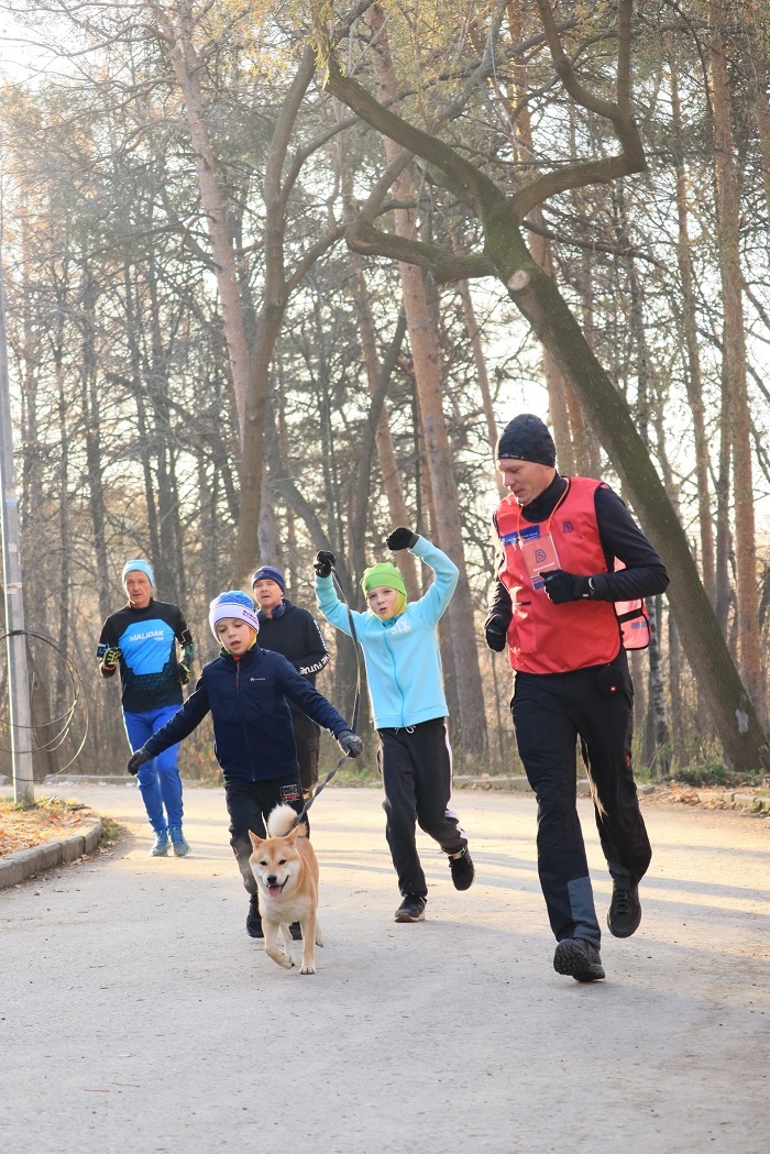 5 ����. ���� �����������. ����: ���� ����������