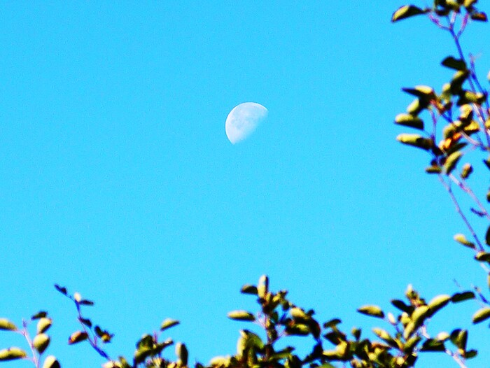 ������� ����