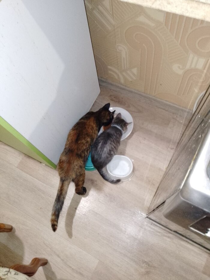 ����� � ��������, ���� ��� � ����� ����� ����.