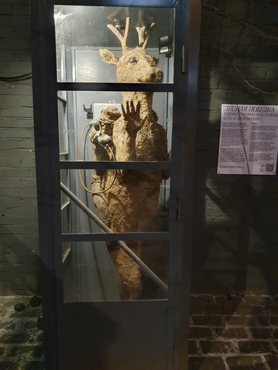 ����������� � �����������