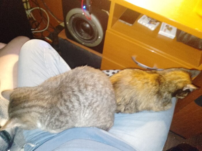 �� ������� � �������! �� ��� ������ ������� ���� ������ �� ����..(