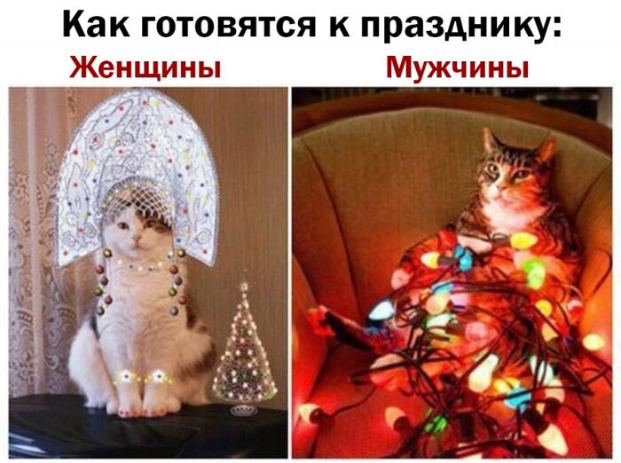 ������������� � 31 �������?