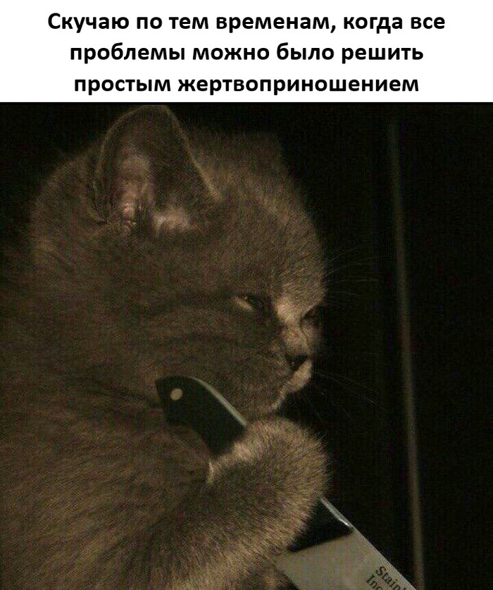 ������ ���� �����