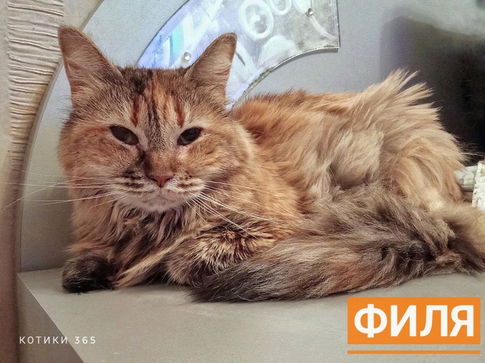 ���� 24.12.2025