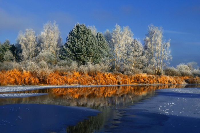 ����: ������ ������ <a href="https://pikabu.ru/story/zima_v_meshchyore_13535067?u=https%3A%2F%2Frtraveler.ru%2Fphoto%2F1480225%2F%3Feditorial_photos%3D1&t=%D0%BE%D1%82%D1%81%D1%8E%D0%B4%D0%B0&h=4ac739750f9b68ff01b47406dd2a1bf813278ea1" title="https://rtraveler.ru/photo/1480225/?editorial_photos=1" target="_blank" rel="nofollow noopener">������</a>