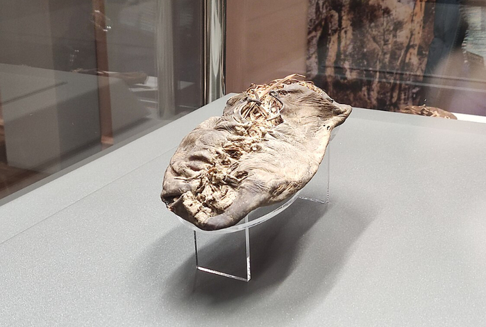 5500-������ ����� �� ������ � �������