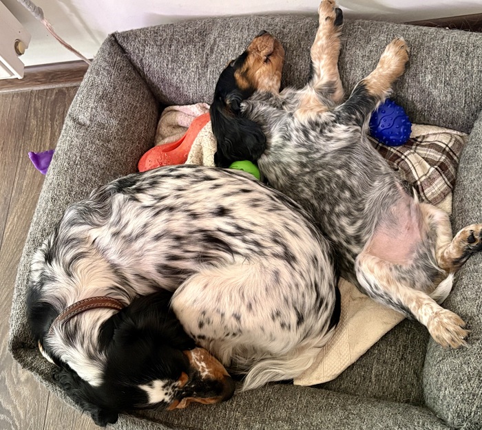 �� ������� �� ��� ���� ������� ������ �������� 