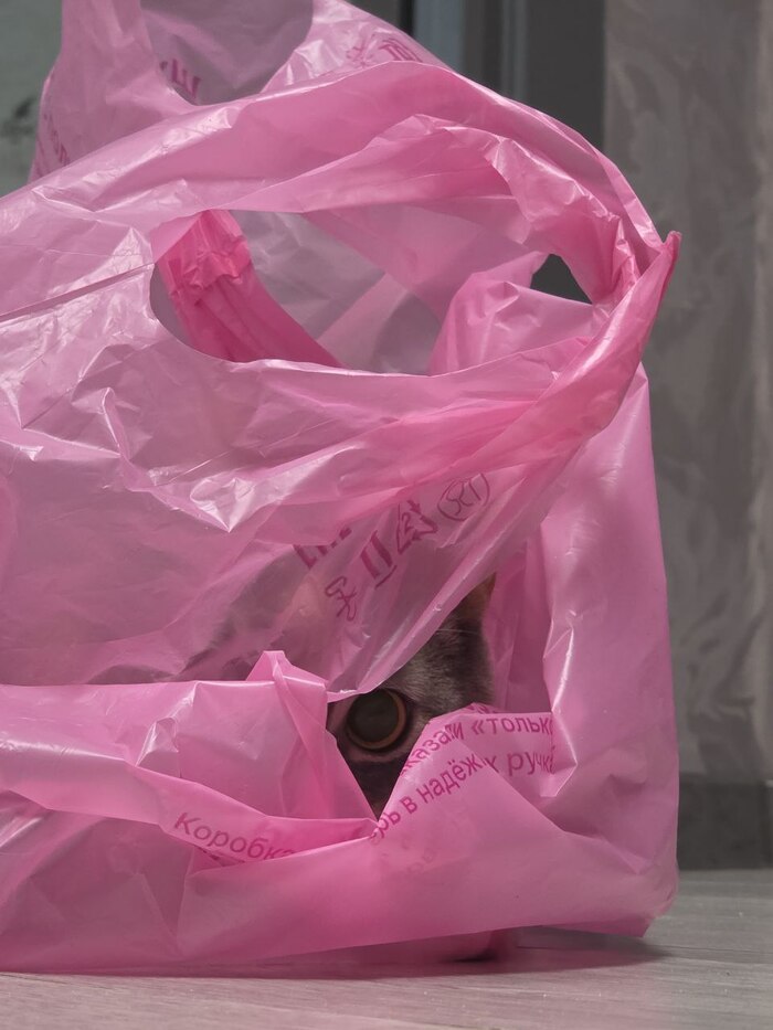 ��� ��������