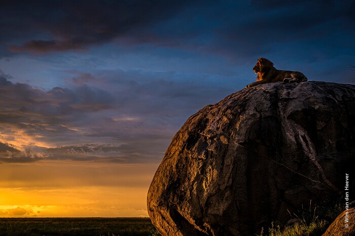 ������ ���