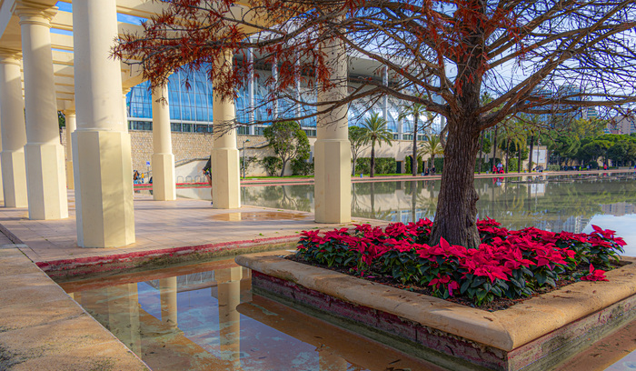 ���� �����