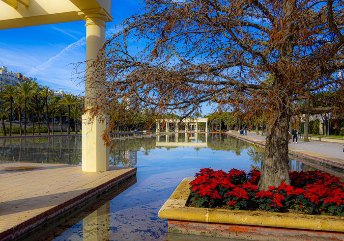 ���� �����