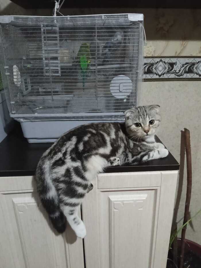 ��� �� ����� �����. � ��� ��� ���� ����!