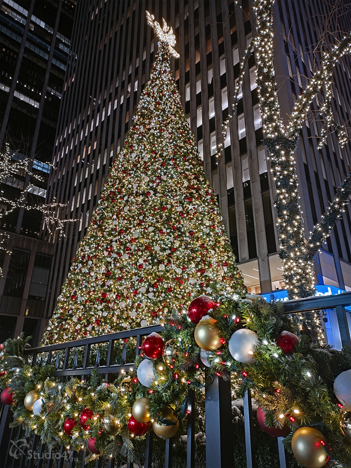 ���� ����� ������� ����� Fox News