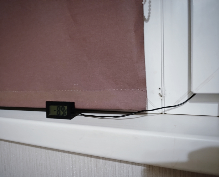 �� ���? � ���� ����� �������?