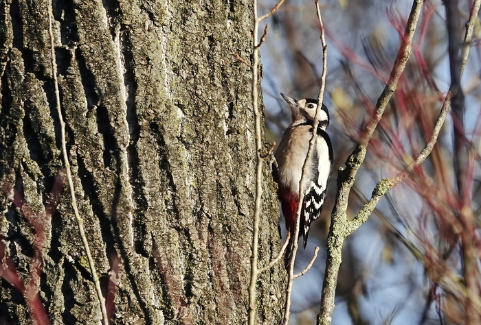 ����� �� �����, ����� ���������� ��������� �������� ������.