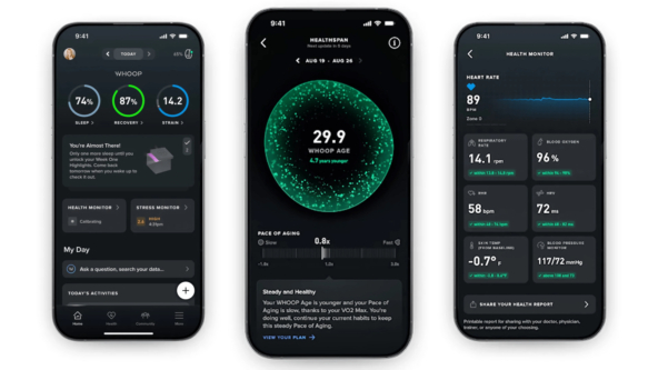 ������ ����������