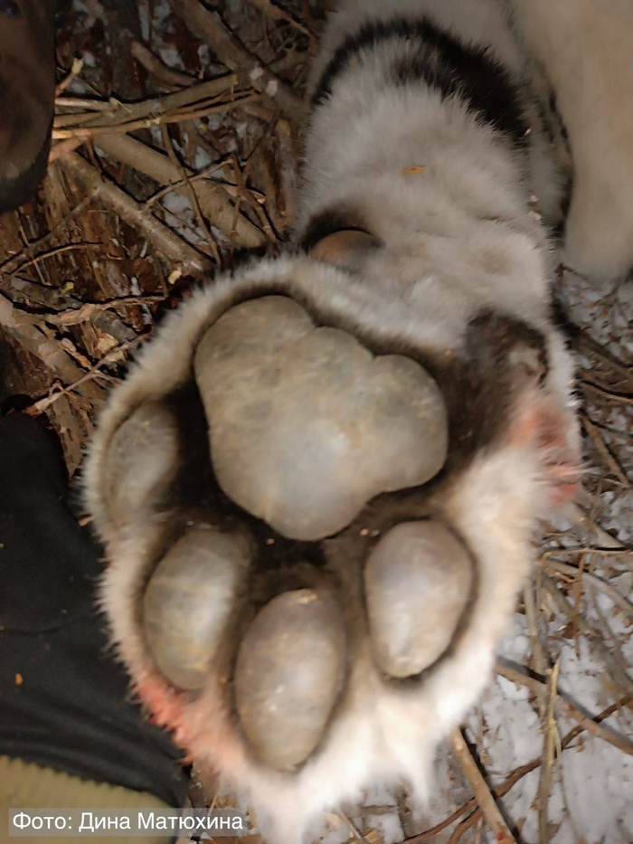 �������� ����������� �������, �������� ����� �� �����