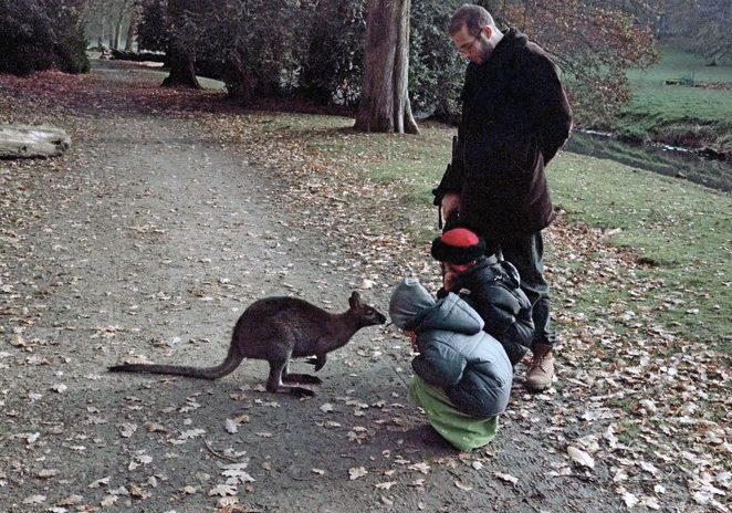 ������� � ������� � ���� �������