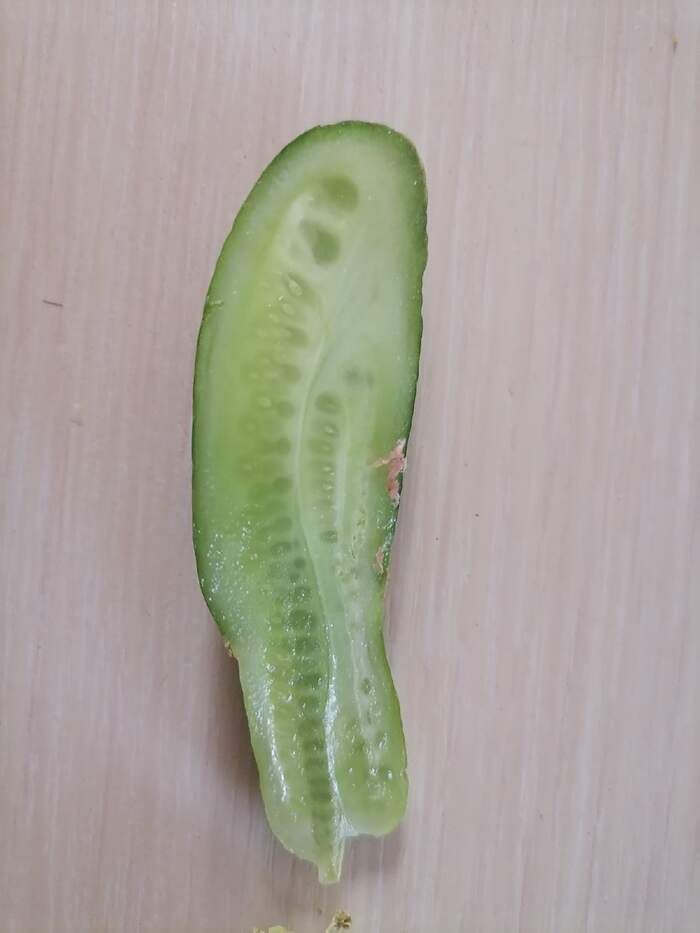 �� ���� ������ ���� �������.