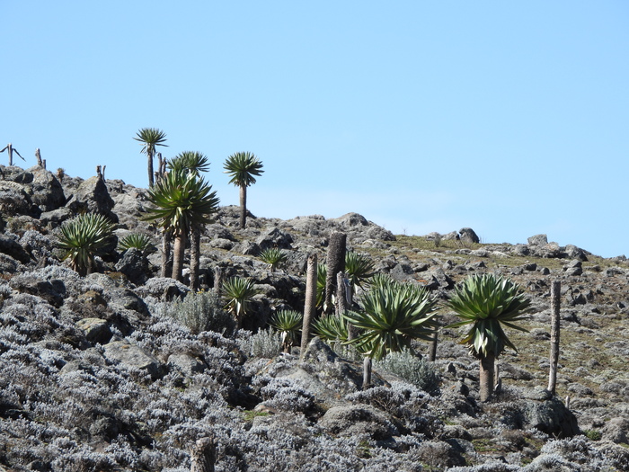 ������� ���������� � ����� ����, �������. ���� �. ����������.