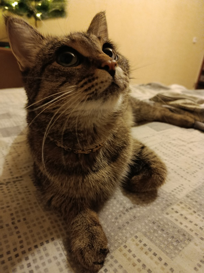 ������� ���������� ����� ����)))