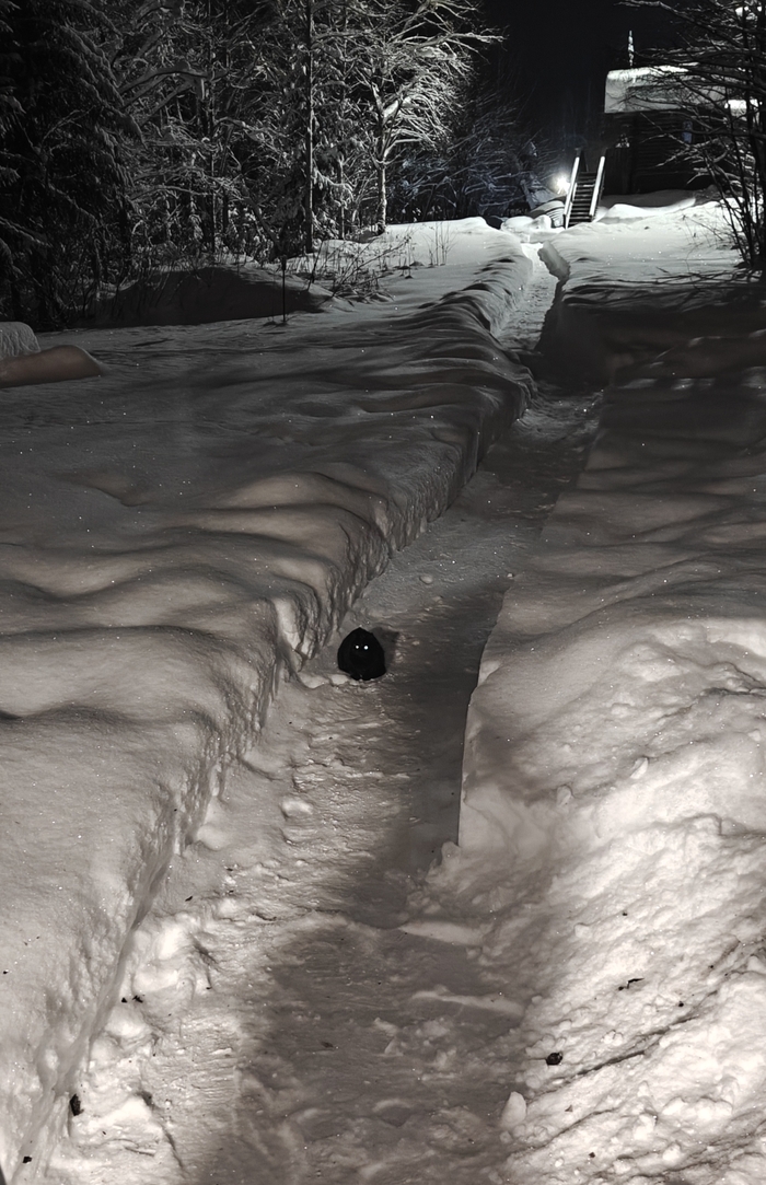 Зимнее пиведение