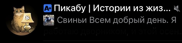 ������������ 🙋‍♀️