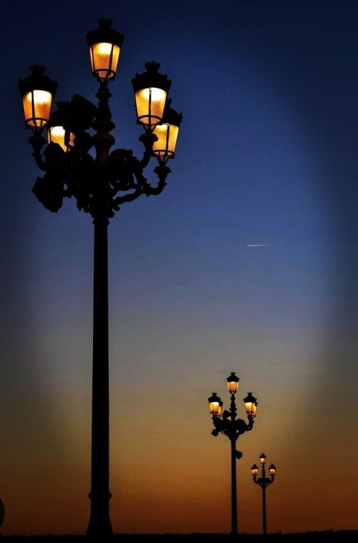 ������ / �. ������