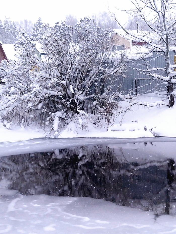 ��� �� �� �������