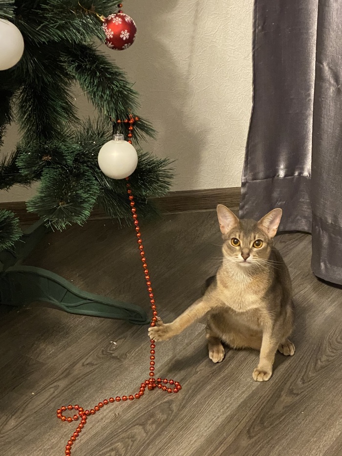 �� ������������