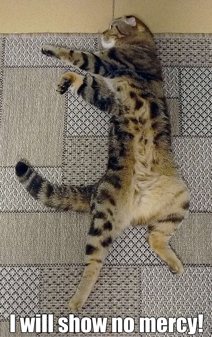 ������ �� ������ Mortal Kombat?