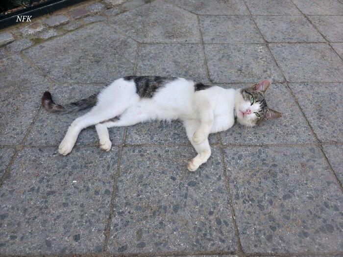 ����������� ������