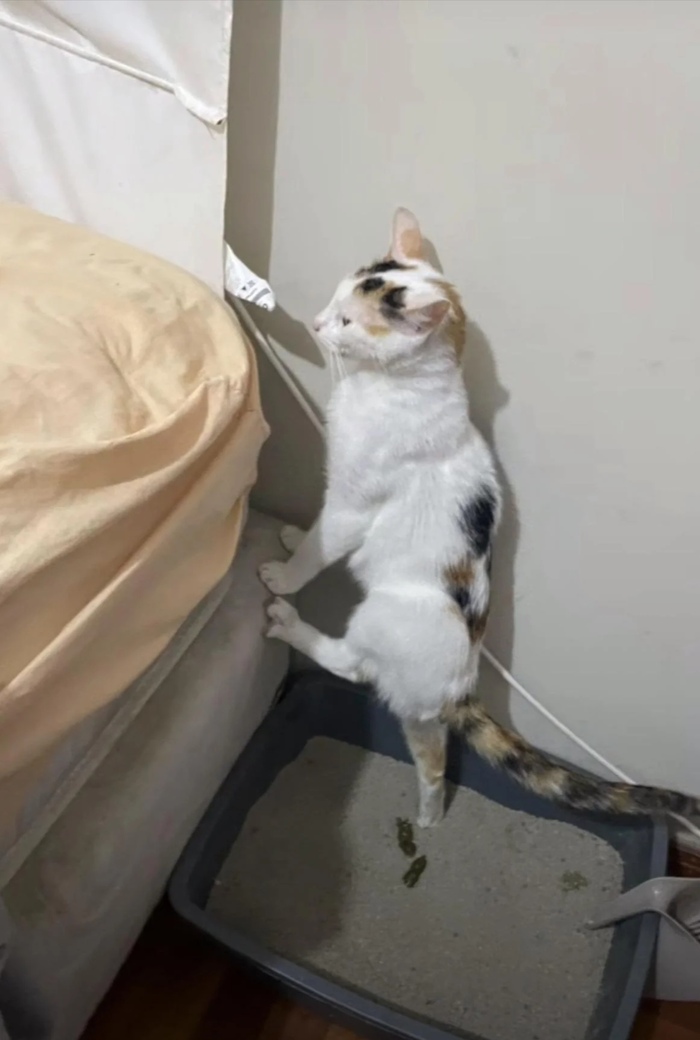 �������, ��� ��� ������!